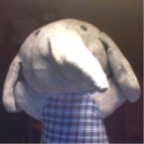 Benutzeravatar