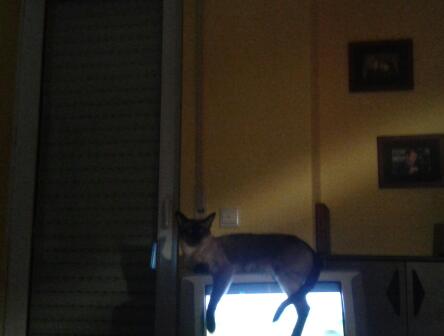 2013-08-28 21.44.58-1.jpg